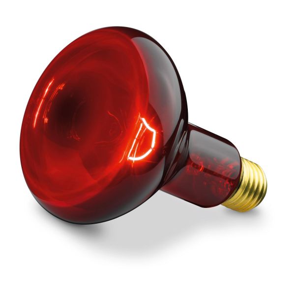 Beurer IL 11 Infrared Lamp - Direct2Customer